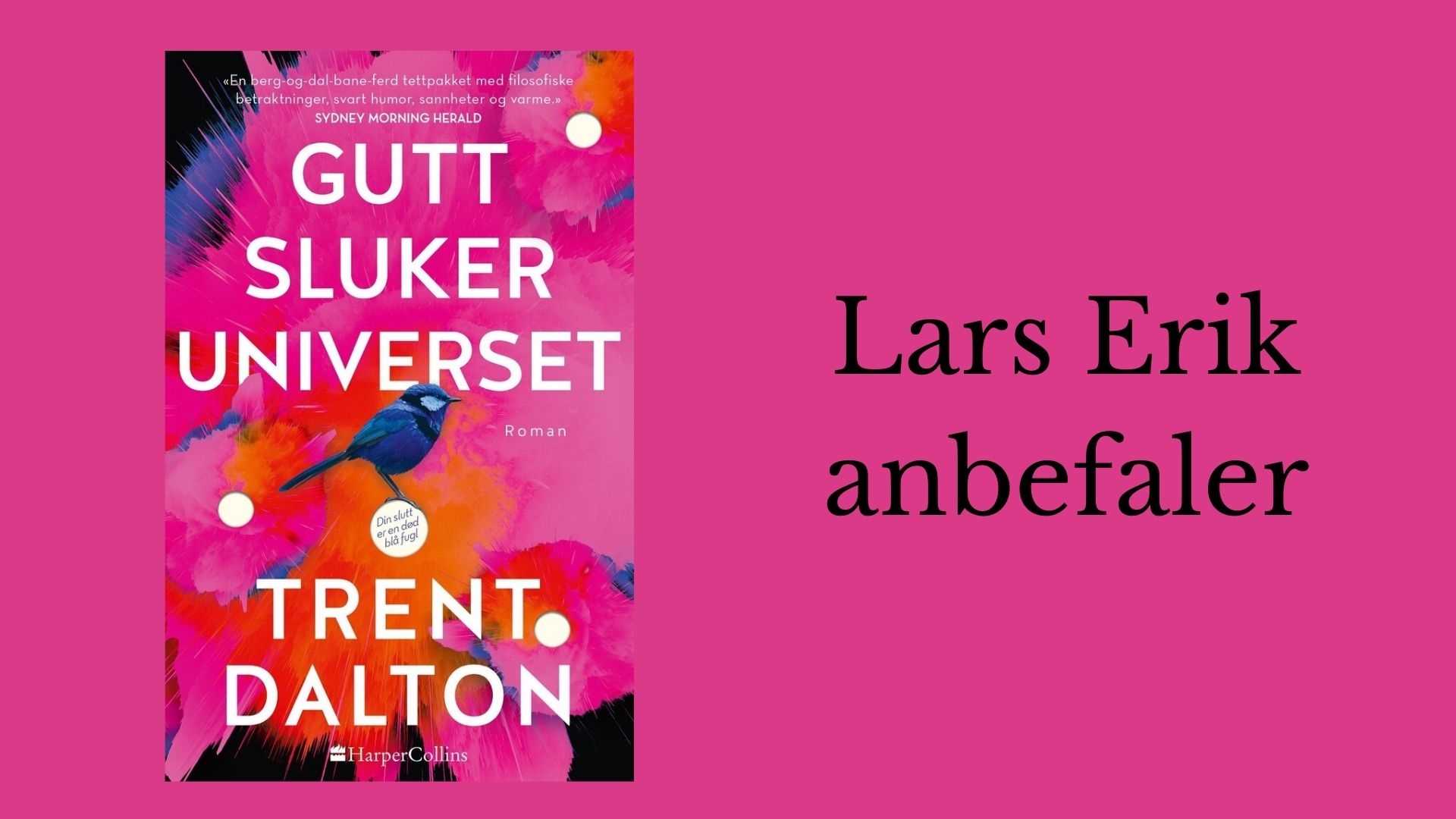 Lars Erik anbefaler Gutt sluker universet