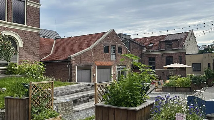 Hedvigs hage utenfor kulturskolen.