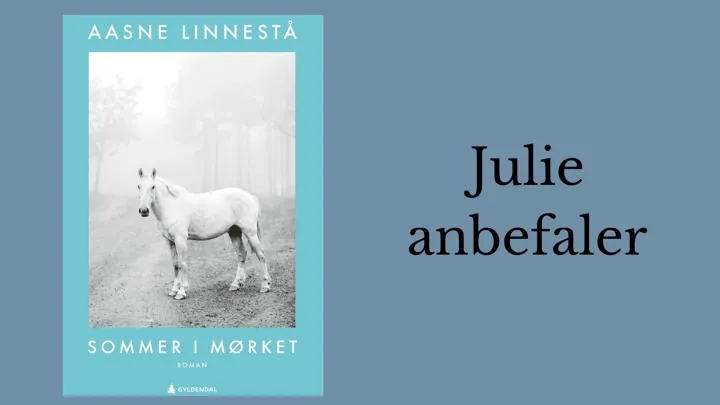 Julie anbefaler Sommer i mørket.