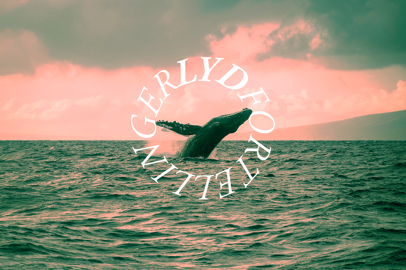 Hvalsang illustrasjon