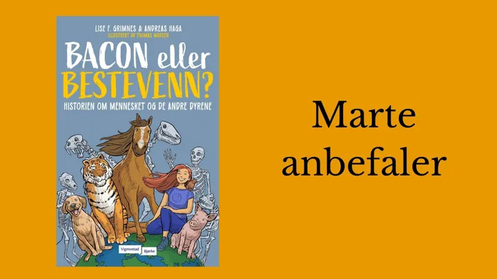 Marte anbefaler Bacon eller bestevenn?