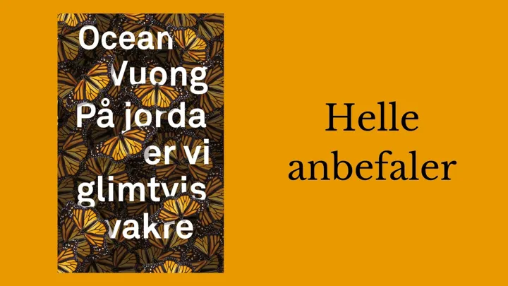 Helle anbefaler romanen På jorda er vi glimtvis vakre.
