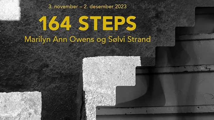 164Steps Web