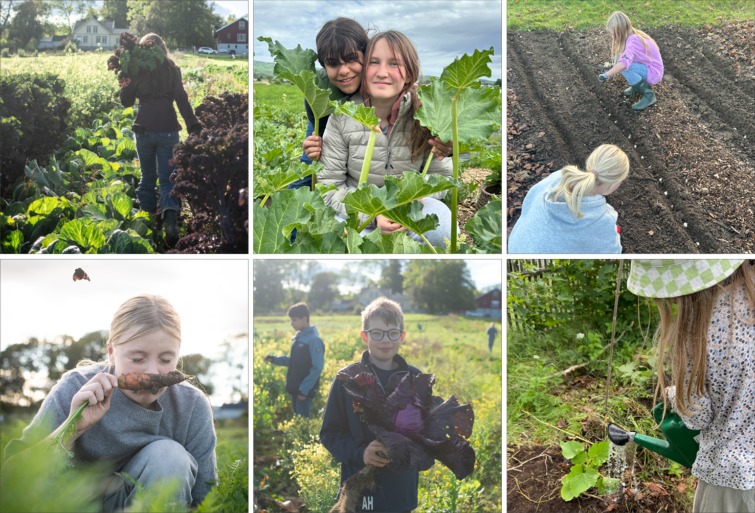 Collage med bilder av barn som er i åkeren.
