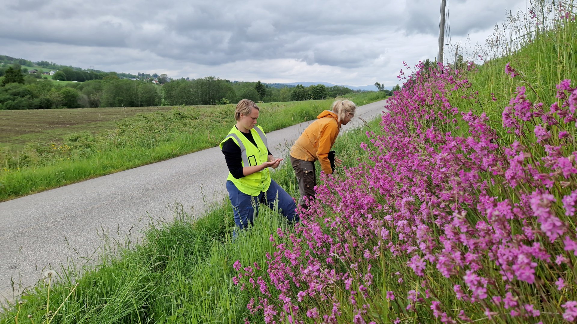 Kommunedelplan for naturmangfold