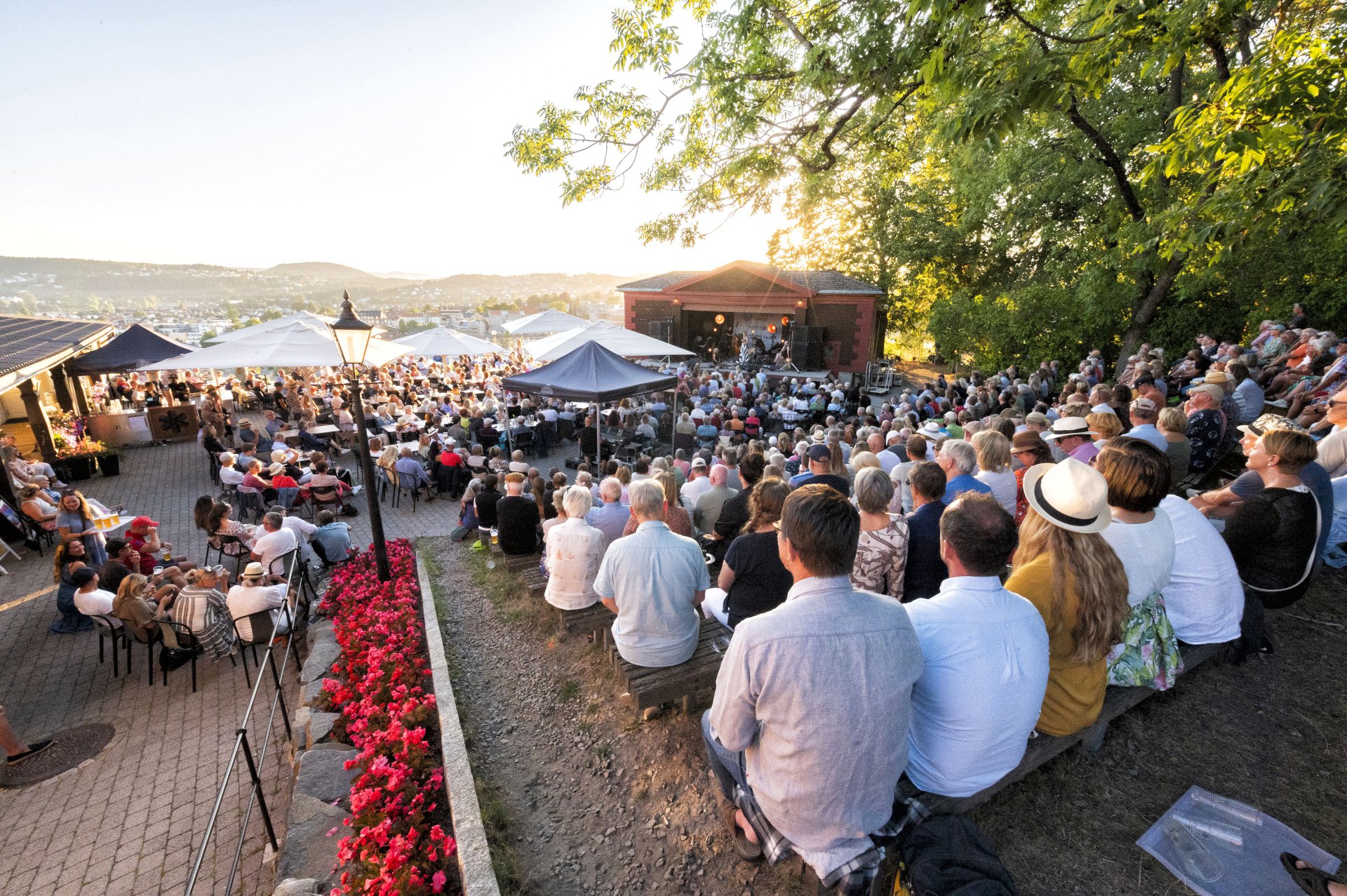 Kultur, idrett og frivillighet